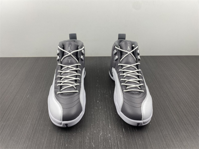 Air Jordan 12 STEALTH CT8025-610