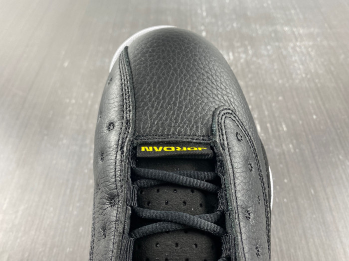 Air Jordan 13