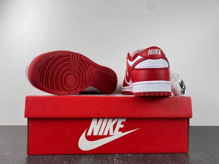 Dunk Low Retro SP 