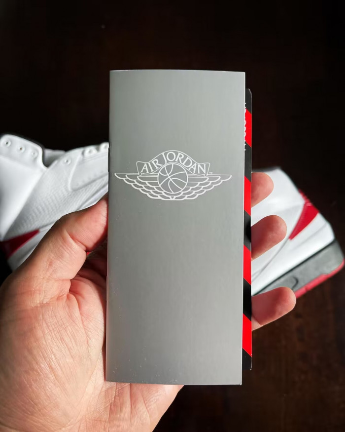 AIR JORDAN 2 RETRO