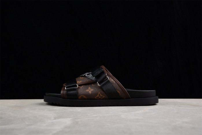 LVT SLIDES LVS-43