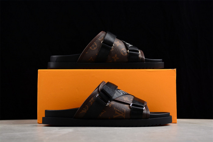 LVT SLIDES LVS-43