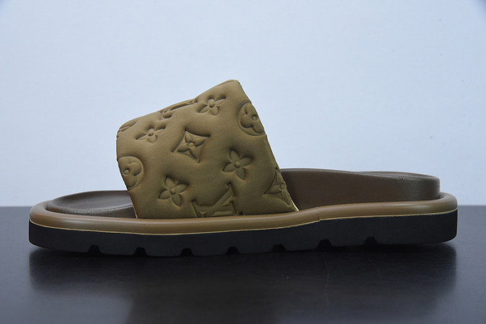 LVT SLIDE