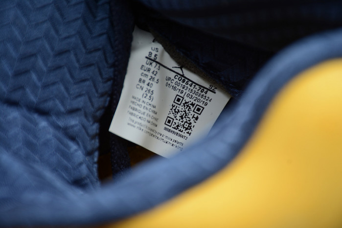 Jordan 5 Retro Michigan (2019) - CQ9541-704