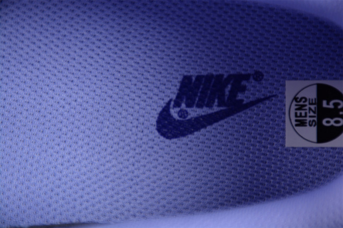NIKE DUNK LOW GS 