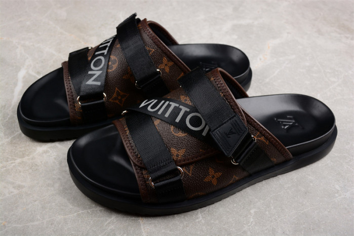 LVT SLIDES LVS-43