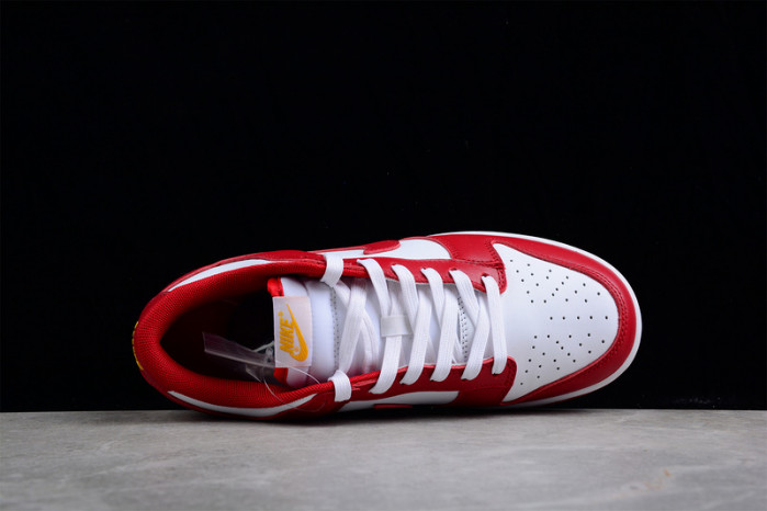 NIKE Dunk Low SG DD1391-602